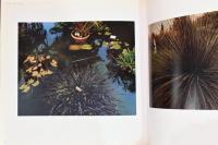 (英文)現代写真と庭園　虚偽と幻想【Contemporary Photography and the Garden: Deceits and Fantasies】