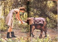 (英文)グレース・コディントン　アメリカン・ヴォーグ時代【Grace: The American Vogue Years】