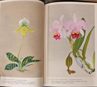 蘭花譜　京都・大山崎山荘　主の愛した蘭　Rankafu  Japanese Woodblock Prints of Orchids