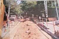 鈴木理策写真集KUMANO 熊野　Risaku Suzuki