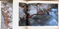 アンディ・ゴールズワージー　ふたつの秋　Andy Goldsworthy: Two Autumns