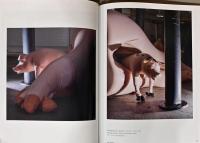 Saeborg（サエボーグ作品集）