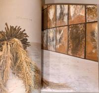 （仏・英文）モニュメンタ2007　グランパレのアンゼルム・キーファー展【Monumenta 2007, Anselm Kiefer, Sternenfall Chute d'etoiles】