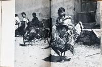 (英文）ロバート・フランク、ウエルナー・ビショフ、ピエール・ヴェルジェ写真集　インカからインディオへ【Werner Bischof, Robert Frank and Pierre Verger : From Incas to Indios】