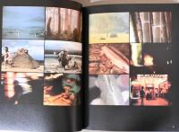 ビル・ヴィオラ　はつゆめ　Bill Vioala hatsu - Yume  First Dream