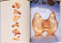 藤幡正樹作品集　禁断の果実　Masaki Fujihata：Forbidden Fruits