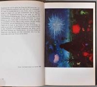 (独文)ウィーン幻想派【Die Wiener Schule : Zwischen Surrealismus und Manierismus】