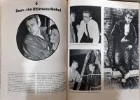 (英文)映画の中の反逆の英雄たち【Rebels : The Rebel Hero in Films】