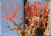 奇想の陳列部屋　Cabinets of Criosities