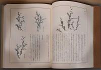 現代語訳　芥子園画伝　東洋画の描き方　