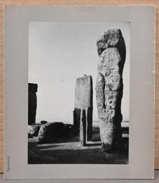 (英文)アパチャー16 : 1【Aperture 16 : 1】