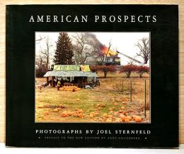 （英文）ジョエル・スターンフェルド写真集　アメリカン・プロスペクツ【American Prospects】
