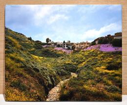 （英文）マーク・ワイズ写真集　18ランドスケープス【Mark Wyse 18 Landscapes】