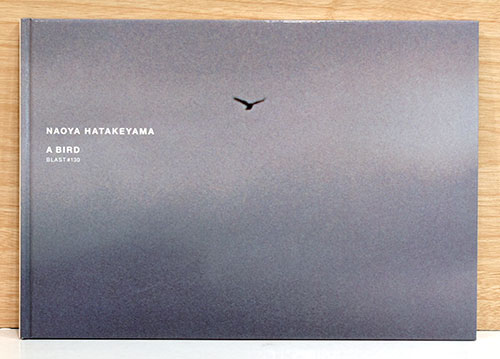 畠山直哉写真集 A Bird Blast #130(畠山直哉 Naoya Hatakeyama