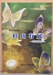 第24回企画展　杉山有展　宇宙を聴く