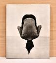 ハーブ・リッツ　Herb Ritts PICTURES洋書　写真集 6965de89b635ff517274cdfcad4521