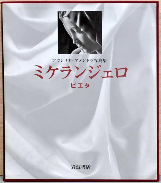 ミケランジェロ―ピエタ アウレリオ・アメンドラ写真集 アウレリオ・アメンドラ写真集 ミケランジェロ ピエタ
