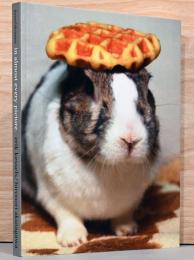 （英文）エリック・ケッセルズ ファウンドフォトシリーズ8 【Erik Kessels/Hironori Akutagawa:in almost every pictures 8】