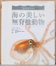 海の美しい無脊椎動物　Spineless