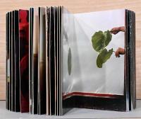 ノーバート・ショルナー写真集　物事の秩序【Norbert Schoerner : The Order of Things】