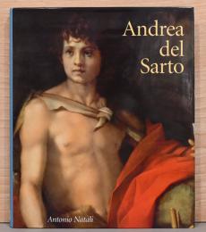 （英文）アンドレア・デル・サルト画集【Andrea Del Sarto】