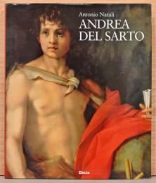 (伊文)アンドレア・デル・サルト画集【Andrea Del Sarto】