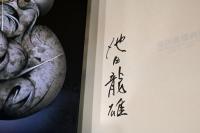 池田龍雄画集　IKEDA TATSUO（限定オリジナル版画・毛筆サイン入り）