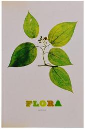 （英文）ニック・ナイト写真集 フローラ【Nick Night : Flora】