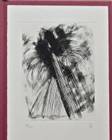 勅使川原 宏ドローイング集　オリジナル・リトグラフ付(サイン入り)　Drawings by Hiroshi Teshigahara Limited Edition with Signed and Numbered Original Lithograph