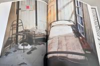 (英独文)ルイーズ・ブルジョワ作品集　抽象化された感情【Louise Bourgeois: Emotions Abstracted】