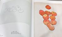 (英文)エルズワース・ケリー作品集　紙を用いた作品【Ellsworth Kelly: Works on Paper】
