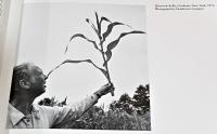 (英文)エルズワース・ケリー作品集　紙を用いた作品【Ellsworth Kelly: Works on Paper】