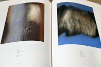 ハンス・アルトゥング展　Hans Hartung