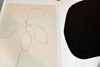 (独英文)エルズワース・ケリー作品集　イエロー・カーヴ【Ellsworth Kelly : Yellow Curve】