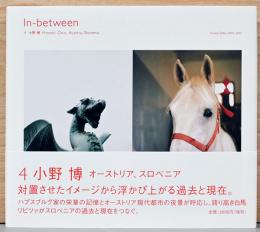 小野博写真集　In-between4　小野博　オーストリア、スロベニア