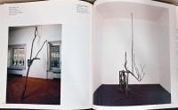 (伊文)ジョゼッペ・ペノーネ作品集【Giuseppe Penone】