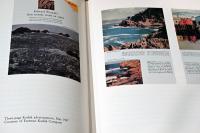 (英文)エドワード・ウェストン写真集　カラーフォトグラフィ―【Edward Weston: Color Photography】