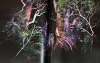 山内悠写真集　自然　JINEN