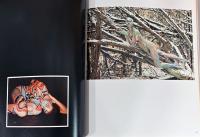 (英文)フェルーシュカの変身【Ｖｅｒｕｓｃｈｋａ: Trans-Figurations】