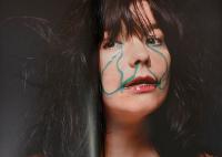 (独英文)イネズ・ヴァン・ラムズウィールド＆ヴィノード・マダディン　Stern Fotografie Nr.55【Inez Van Lamsweerde & Vinoodh Matadin: Stern Fotografie Portfolio Nr.55】