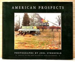 （英文）ジョエル・スターンフェルド写真集　アメリカン・プロスペクツ【American Prospects】