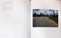 (英文)写真の本質　入門編【The Nature of Photographs by Stephen Shore】