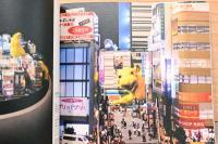 都市は人なり　Sukurappu ando Birudo プロジェクト　全記録