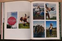 (英独文)ティム・ウォーカー写真集　私は写真が好きだ！【Tim Walker : I Love Pictures】