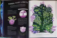 (英文)発光する野生生物　輝きの不思議【Glow, The Wild Wonders of Bioluminescence】