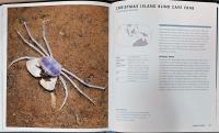 (英文）世界のカニ事典【Crabs: A Global Natural History】