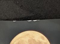 Starry Nights : The Best of the Best