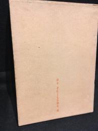 倖せそれとも不倖せ 続 : 入沢康夫詩集