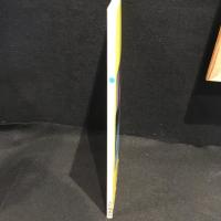 早見優写真集Ⅱ