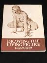 DRAWING THE LIVING FIGURE　【洋書】【作画技術書】